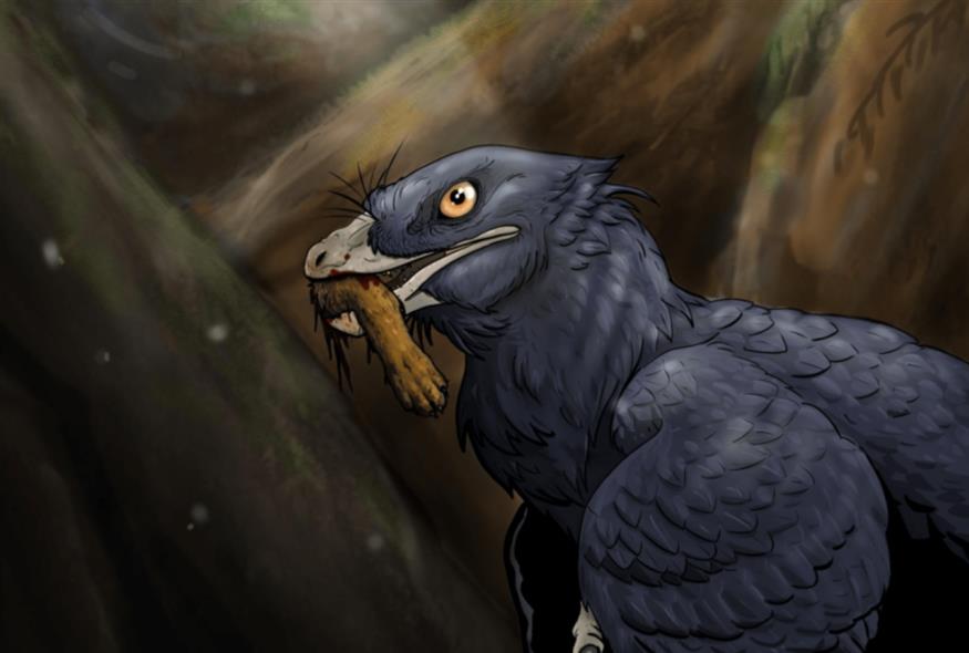Microraptor - Πηγή: Ralph Attanasia