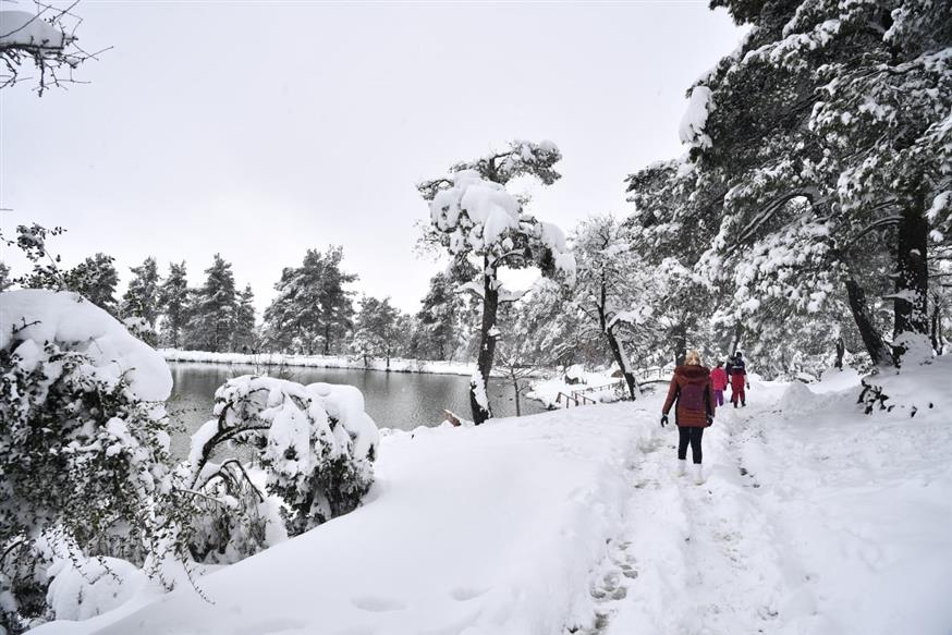 Τα χιόνια άργησαν δυο μήνες... Μάρτης στη λίμνη Μπελέτσι. /copyright Eurokinissi