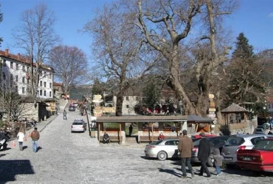 Φωτιά στο Μέτσοβο (epiruspost.gr)