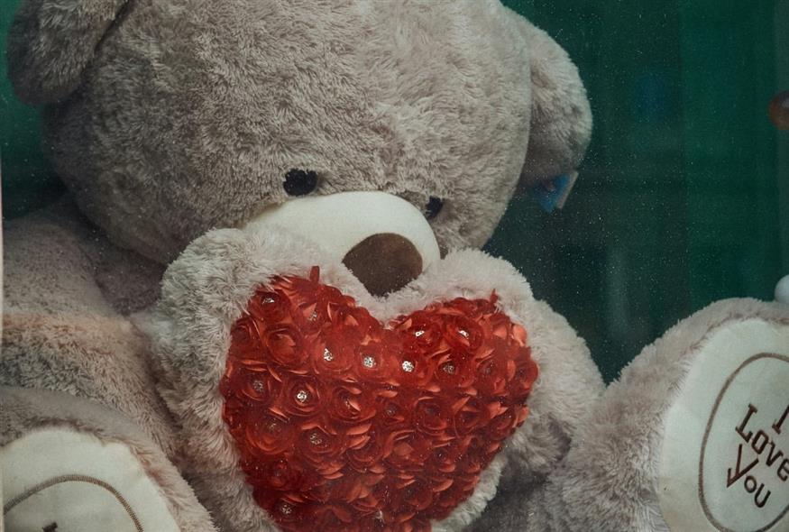 Λούτρινο αρκουδάκι - Άγιος Βαλεντίνος (UNSPLASH)