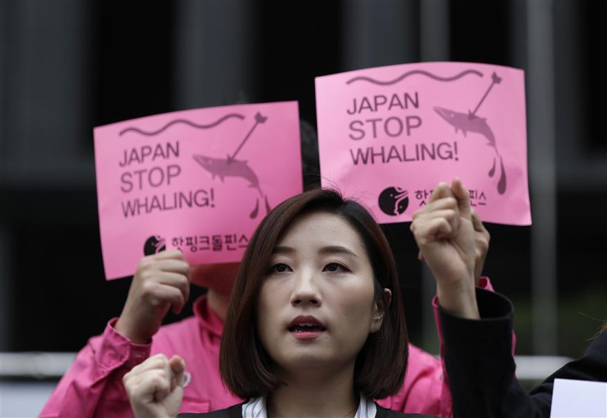 Κυνήγι φαλαινών στην Ιαπωνία/(AP Photo/Lee Jin-man)