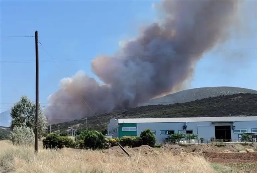 Φωτιά στη Θήβα Φωτιά στη Θήβα