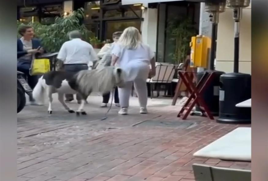 Πόνυ στο Κολωνάκι