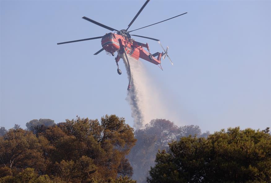 Φωτιά στην Παιανία (ΓΙΑΝΝΗΣ ΠΑΝΑΓΟΠΟΥΛΟΣ / EUROKINISSI)