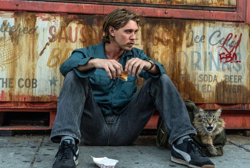 Κλέφτης από Σπόντα (ΑΠΕ-ΜΠΕ)