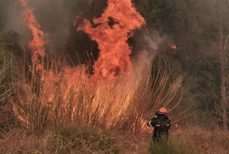 Μεγάλη φωτιά στη Σάμο / Πηγή: samos24.gr