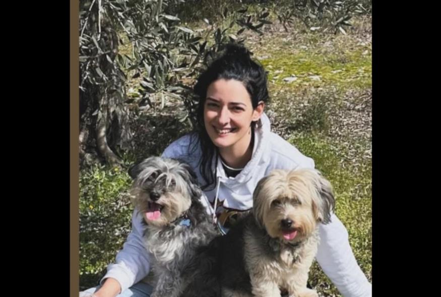 Θάνατο σκυλίτσας από φόλα στην Κύθνο (Facebook)