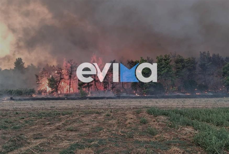 Εύβοια, εικόνα από τη φωτιά (evima.gr) Εύβοια, εικόνα από τη φωτιά (evima.gr)