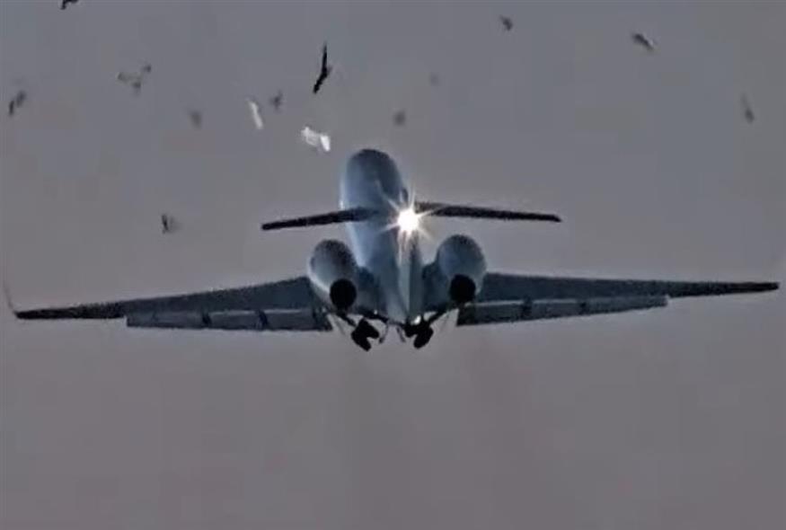 Αεροσκάφος συγκρούεται με σμήνος πουλιών λίγο μετά την απογείωση