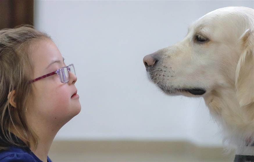 Σκύλοι θεραπείας/(AP Photo/Vadim Ghirda)