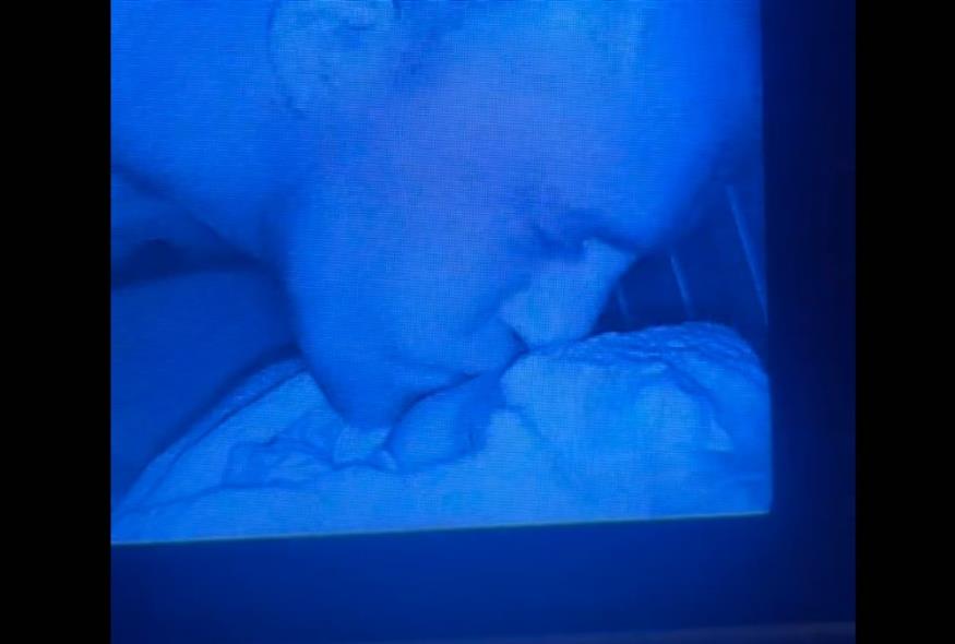 Μπαμπάς και κόρη έγιναν viral (Copyright:TikTok)