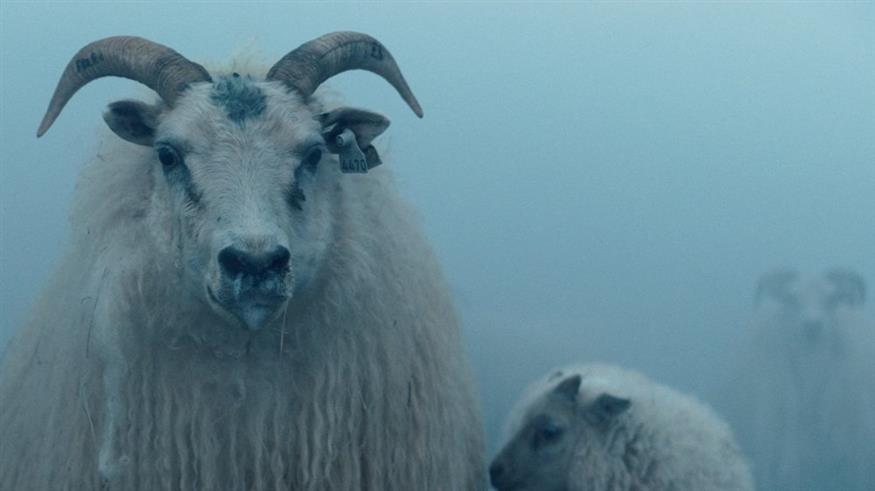 Η ταινία γυρίστηκε σ' ένα αγρόκτημα στη βόρεια Ισλανδία. Ο χώρος είχε να κατοικηθεί περίπου 20 χρόνια