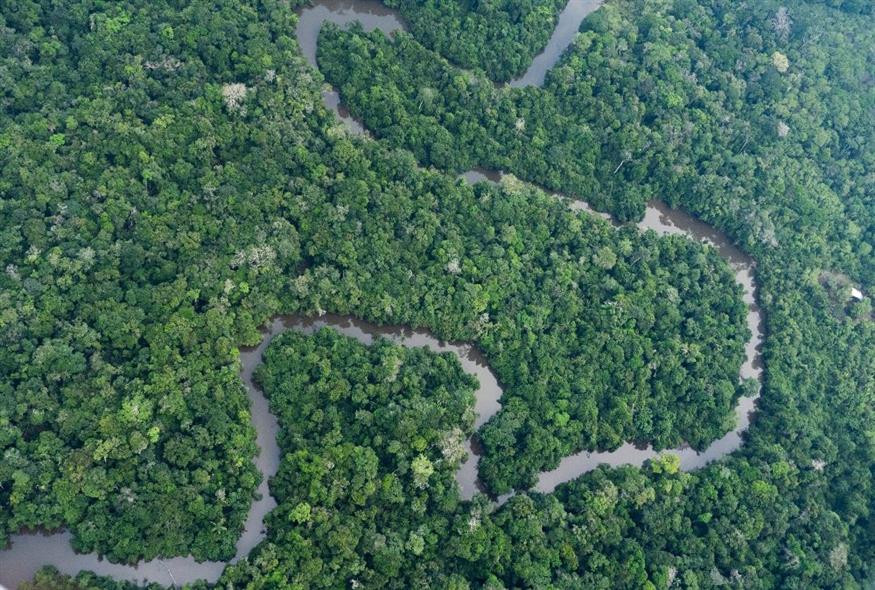 Ο λαβύρινθος της ζούγκλας του Αμαζονίου. /copyright Ap Photos