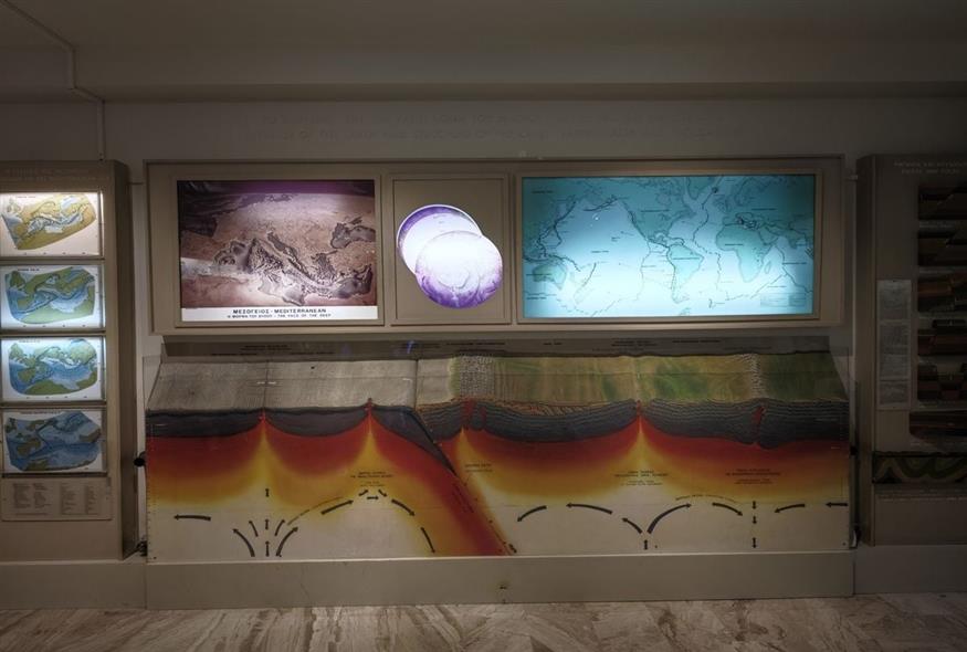 Το Εθνικό Μουσείο Γουλανδρή έχει σπάνια εκθέματα - φωτογραφία Κώστας Ασημακόπουλος