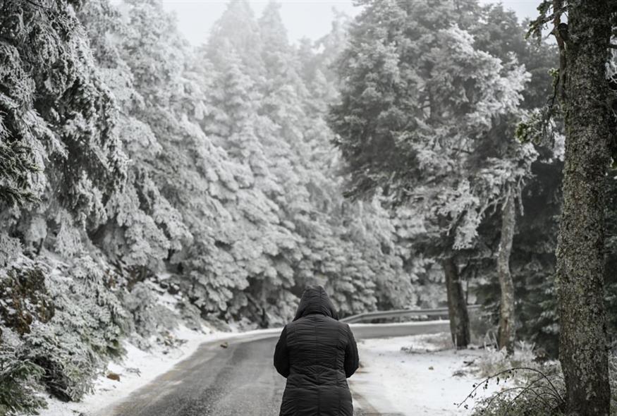 (Φωτο αρχείου: ΜΙΧΑΛΗΣ ΚΑΡΑΓΙΑΝΝΗΣ/EUROKINISSI)