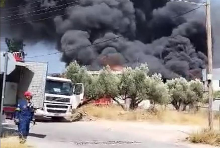 Στιγμιότυπο από τη μεγάλη φωτιά/ Video Caption