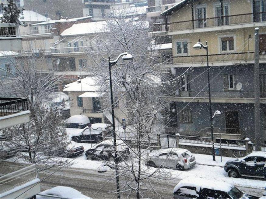 Χιονόπτωση στα Γρεβενά (Πηγή: pamegrevena.gr)