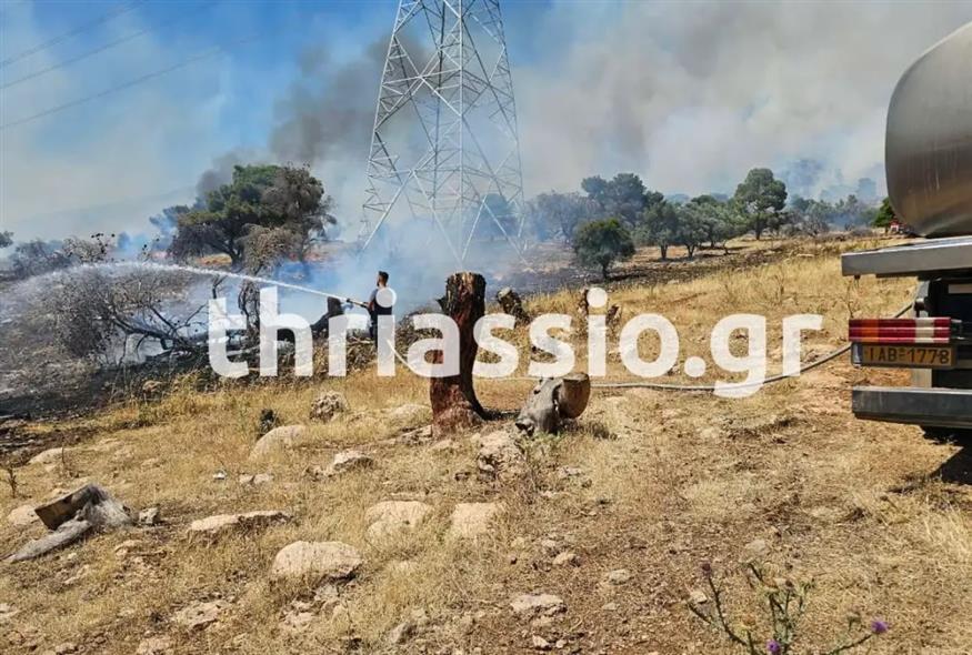 Φωτιά στον Ασπρόπυργο (thriassio.gr)