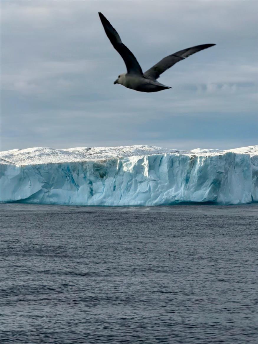 (α) Η θέα του ουράνιου τόξου μετά από μια εκτεταμένη καταιγίδα, (β) ένα πεινασμένο θαλασσοπούλι ακολουθώντας την πορεία του πλοίου με φόντο έναν παγετώνα στη Θάλασσα της Γροιλανδίας. © Μαρία Παπαδάτου (α) Η θέα του ουράνιου τόξου μετά από μια εκτεταμένη καταιγίδα, (β) ένα πεινασμένο θαλασσοπούλι ακολουθώντας την πορεία του πλοίου με φόντο έναν παγετώνα στη Θάλασσα της Γροιλανδίας. © Μαρία Παπαδάτου