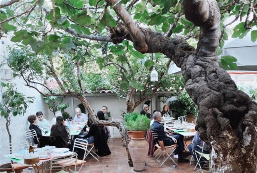 Η αυλή του Μεζέ Μεζέ | © MezeMeze