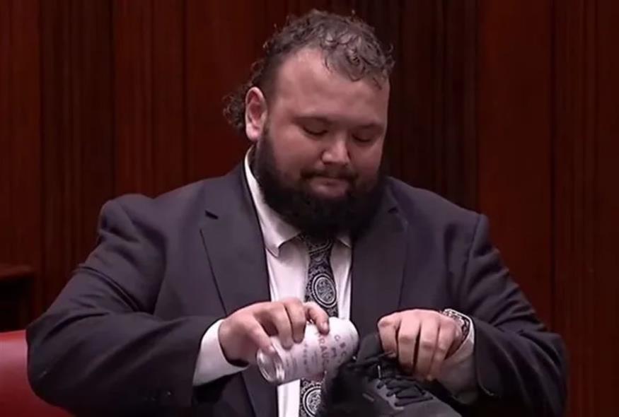 O βουλευτής