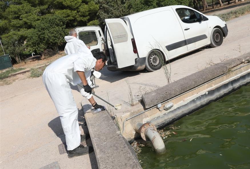 Ψεκασμοί στο Πάρκο Τρίτση (ΔΑΝΑΗ ΔΑΥΛΟΠΟΥΛΟΥ / EUROKINISSI) Ψεκασμοί στο Πάρκο Τρίτση (ΔΑΝΑΗ ΔΑΥΛΟΠΟΥΛΟΥ / EUROKINISSI)
