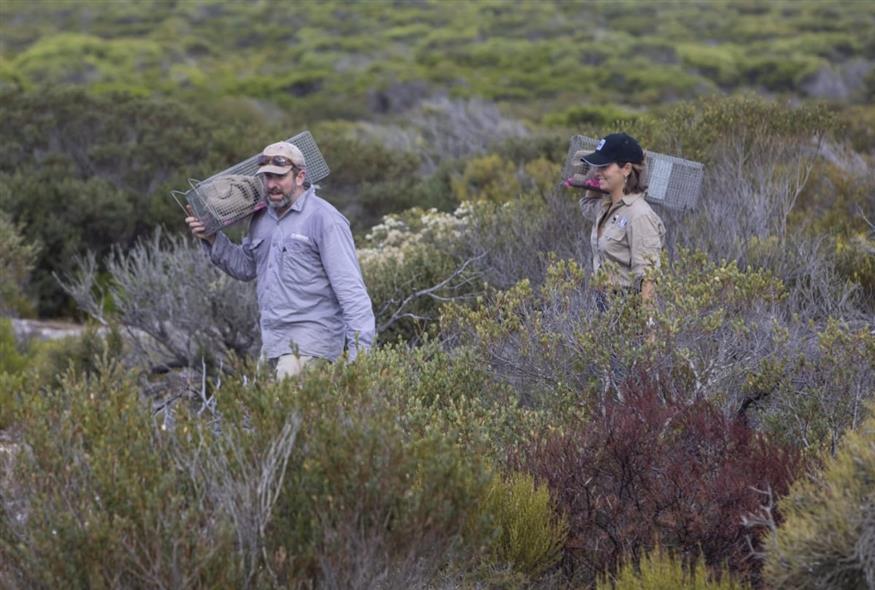 Ερευνητές μπετόνγκ (WWF-Aus / think Mammoth) Ερευνητές μπετόνγκ (WWF-Aus / think Mammoth)