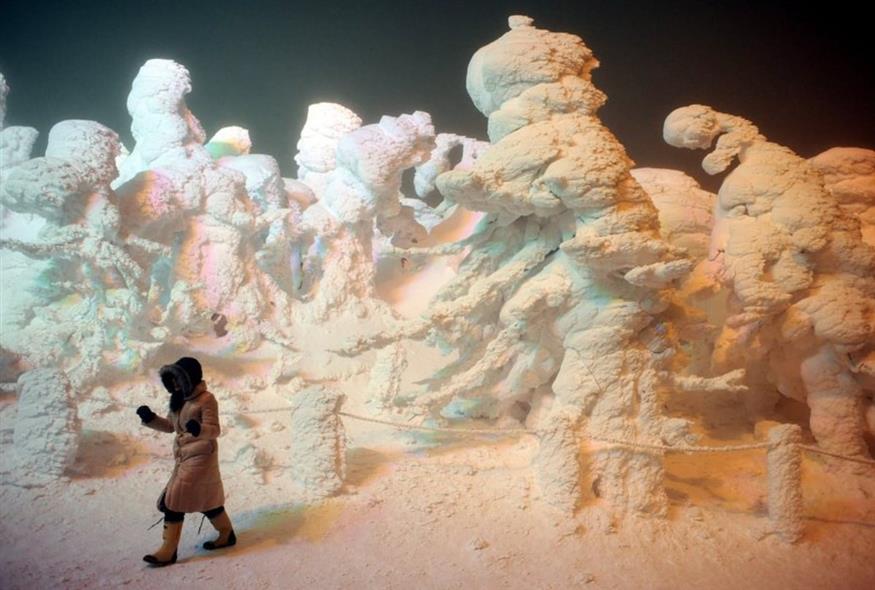 «Τέρατα χιονιού» (EPA/FRANCK ROBICHON)