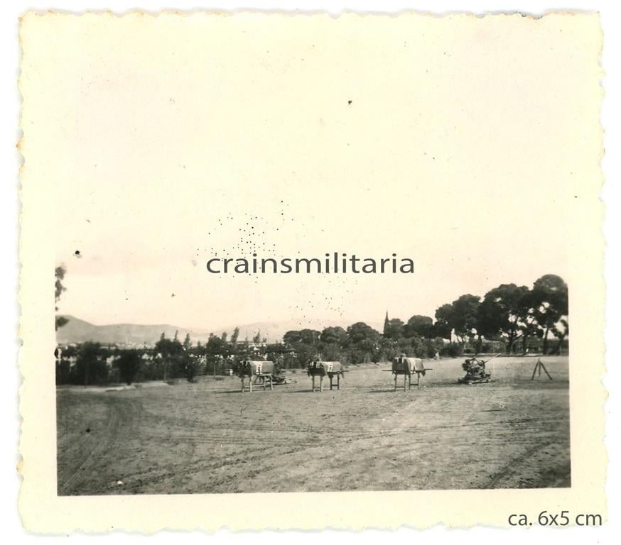 Εκτέλεση των 200 στο Σκοπευτήριο της Καισαριανής (ebay.com) Εκτέλεση των 200 στο Σκοπευτήριο της Καισαριανής (ebay.com)