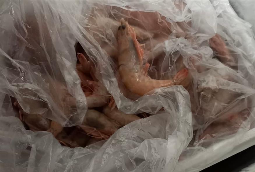 (Πηγή: Περιφέρεια Αττικής) (Πηγή: Περιφέρεια Αττικής)