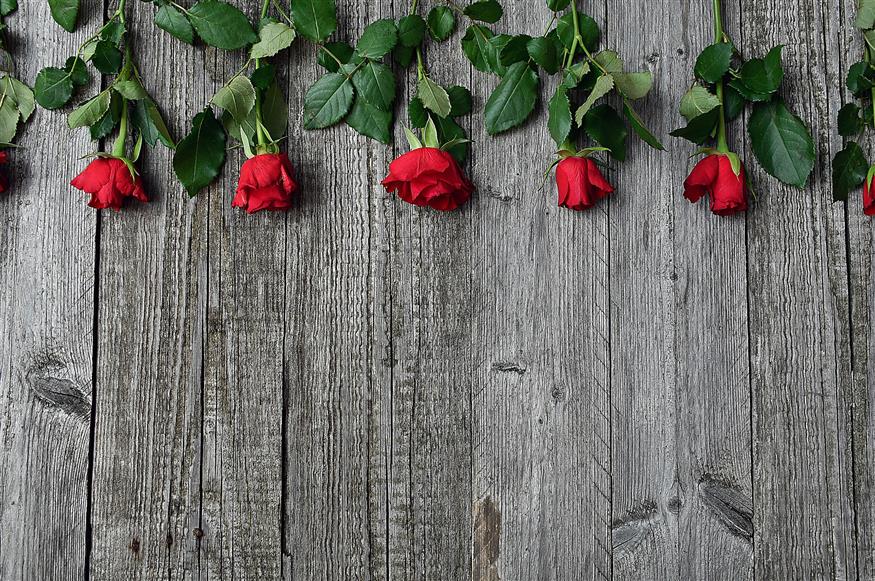 Τριαντάφυλλα/pixabay.com