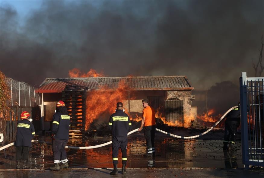 Μενίδι /ΙΝΤΙΜΕ