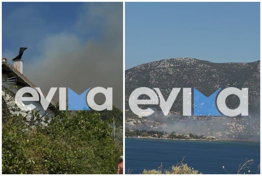 Φωτιά στον Αλμυροπόταμο Εύβοιας/evima.gr