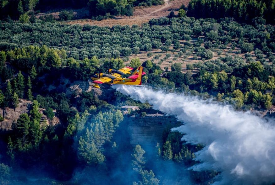 Φωτιά στη Μεγάλη Βόλβη (EUROKINISSI)