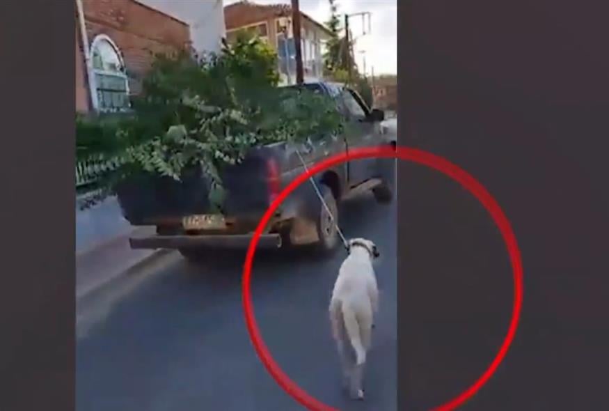 Ηλικιωμένος έδεσε τον σκύλο του στο φορτηγό και τον έσερνε στους δρόμους του χωριού