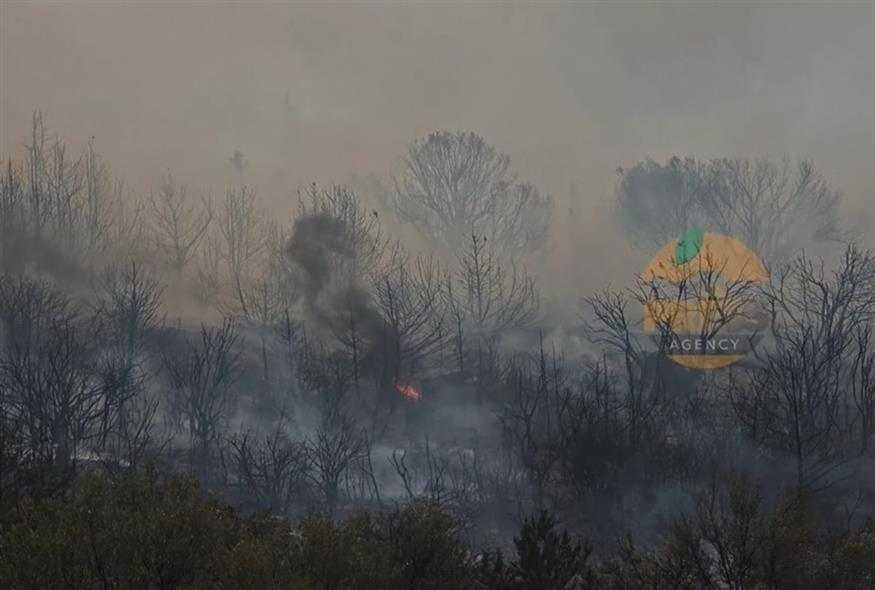 Φωτιά στην Πολυτεχνειούπολη (Orange Press)