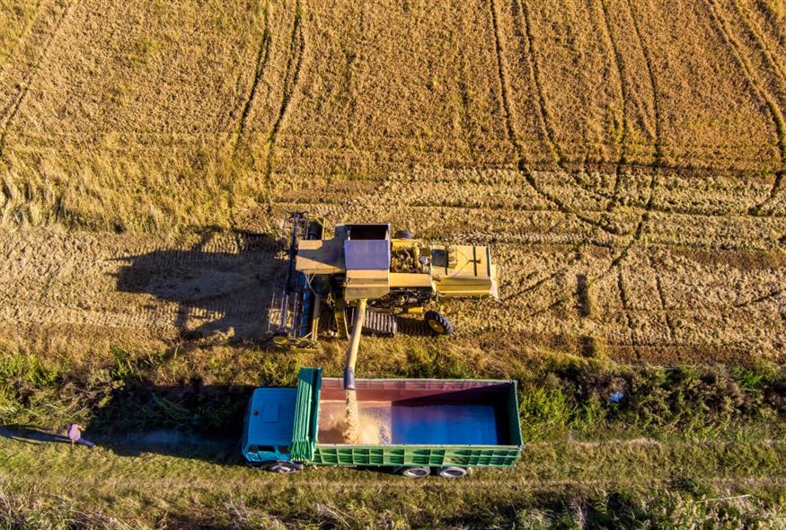 Συγκομιδή ρυζιού (ΜΟΤΙΟΝΤΕΑΜ/ΒΕΡΒΕΡΙΔΗΣ ΒΑΣΙΛΗΣ)
