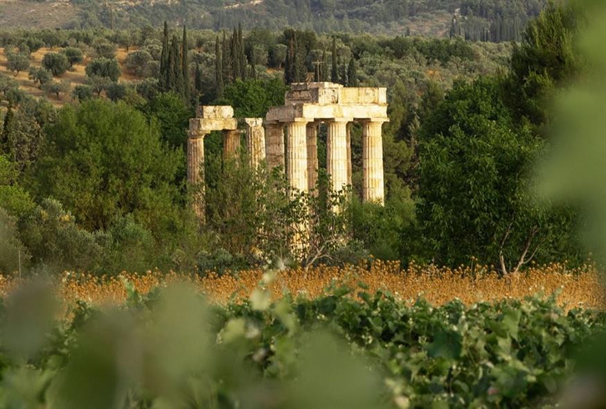 Κρασί και πολιτισμός γίνονται ένα στα αμπελοτόπια της Νεμέας