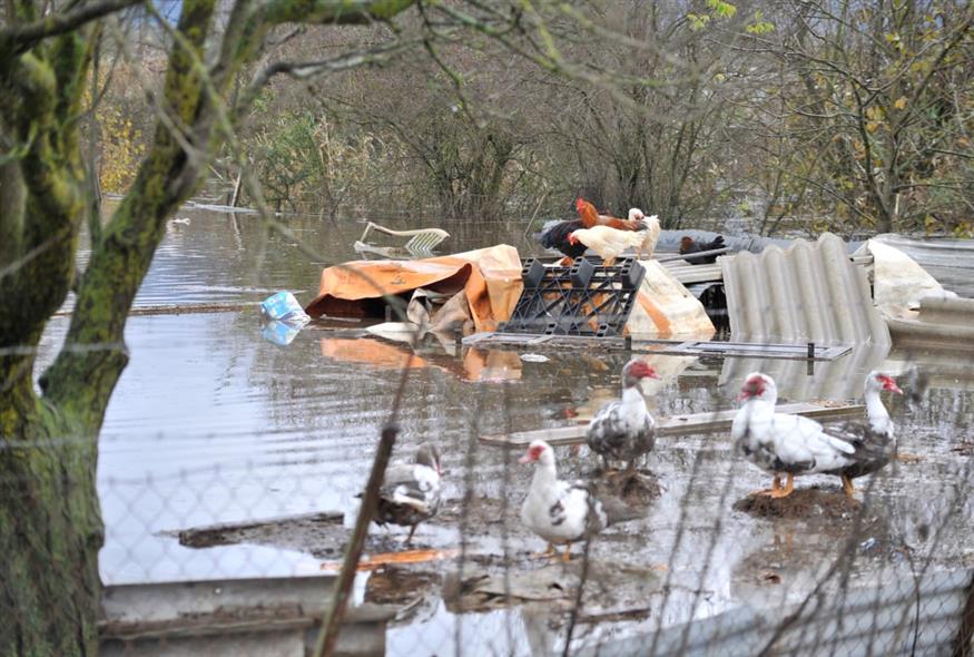 Καταστροφές στα Ιωάννινα (INTIME NEWS/ΠΑΠΠΑ ΒΟΥΛΑ)