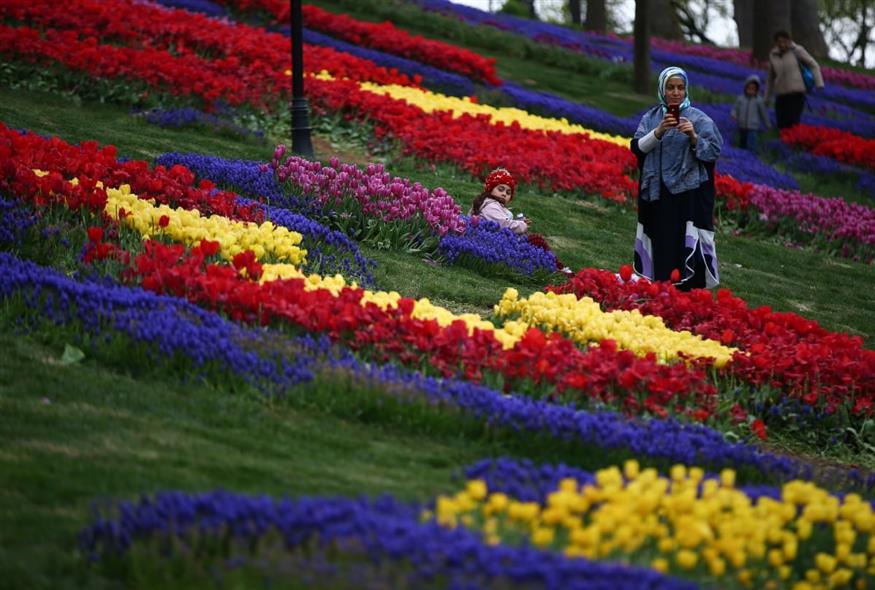 Ανθισμένες τουλίπες στο πάρκο Emirgan στην Κωνσταντινούπολη (AP)