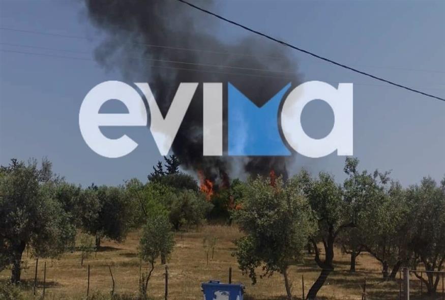 Φωτιά στην Εύβοια, κοντά στην Ερέτρια (evima.gr)