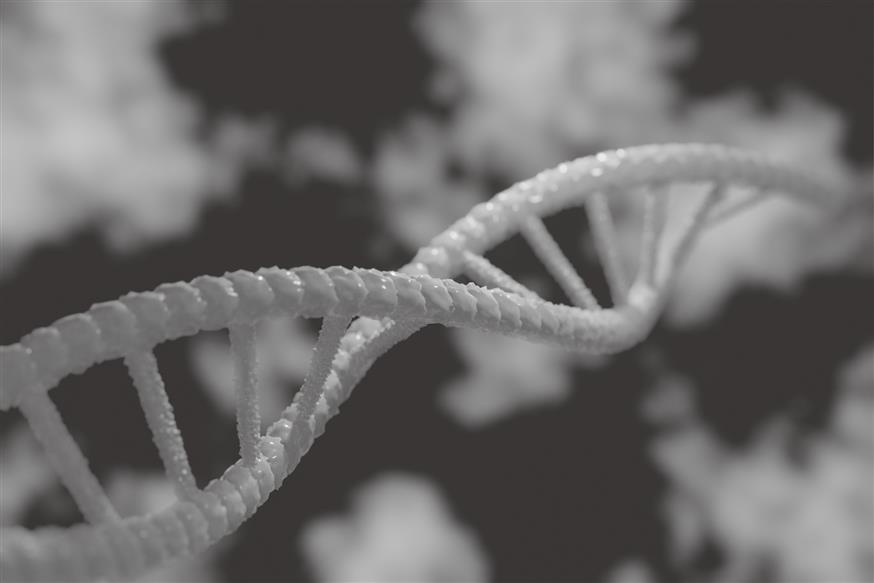 DNA (φωτογραφία αρχείου)/Copyright: pixabay.com