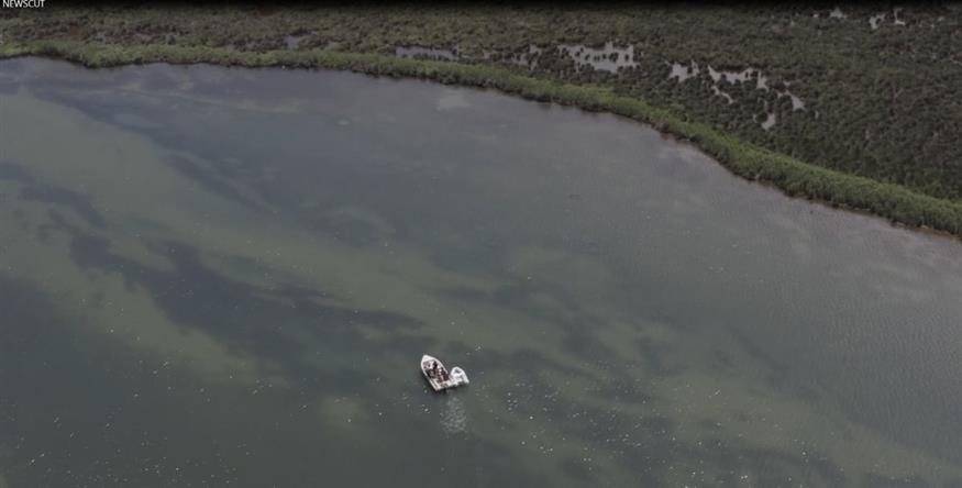 Nestle Ελλάς Nestle Ελλάς