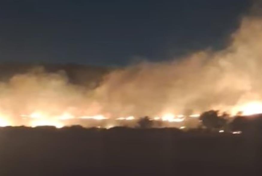 Φωτιά στη Σαλαμίνα/pyrkagia enimerosi -facebook