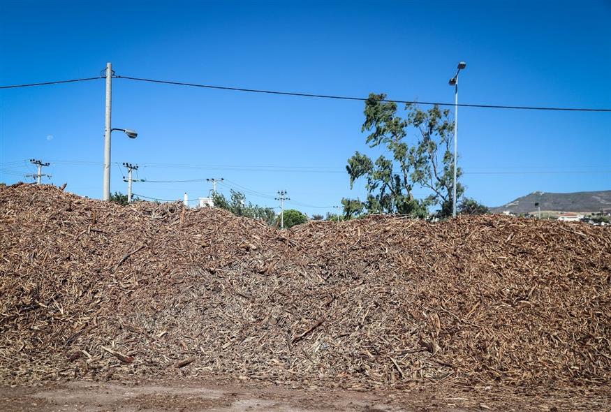 Οικόπεδο με ξύλα (Eurokinissi/ΔΗΜΗΤΡΟΠΟΥΛΟΣ ΣΩΤΗΡΗΣ)