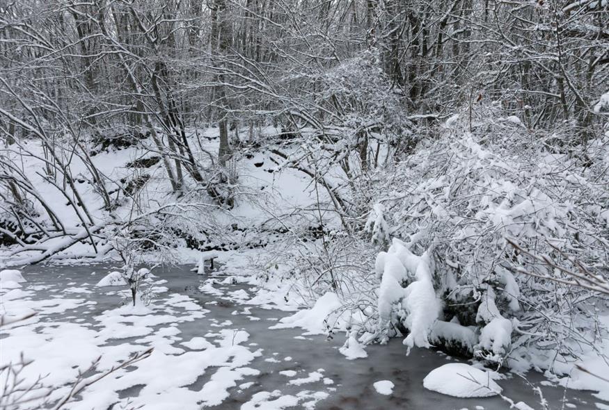 Χιονοπτώσεις (ΕUROKINISSI)