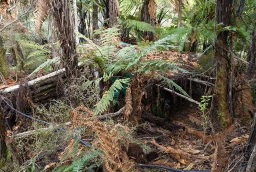 Κρησφύγετα στο δάσος (Αστυνομία Νέας Ζηλανδίας)
