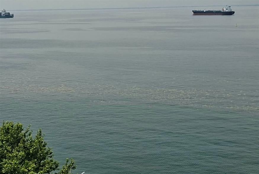 Θερμαϊκός: Το φυτοπλαγκτόν έκανε και πάλι την εμφάνισή του