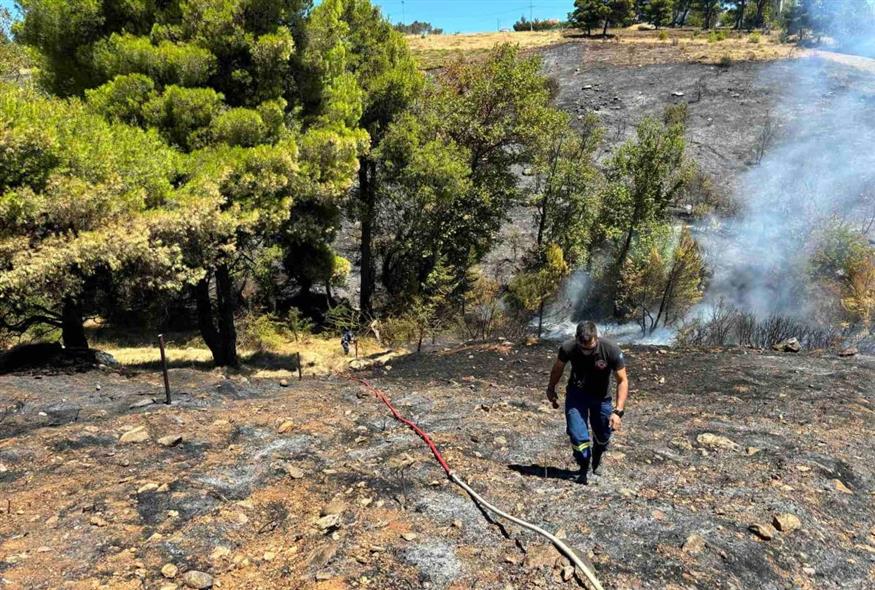 Αναζωπύρωση στο Καπανδρίτι