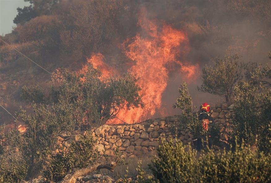 Φωτιά στην Ιεράπετρα (ΣΤΕΦΑΝΟΣ ΡΑΠΑΝΗΣ/EUROKINISSI)